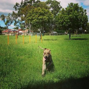 11081064_10152674757727105_4652144000090735203_n