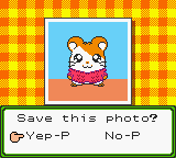 Hamtaro - Ham-Hams Unite!_20