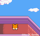 hamtaro3