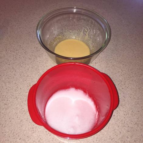 12636818_10153353980091526_274887506_o