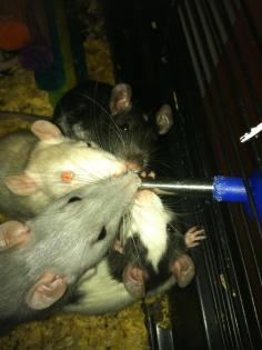 398820_10150833860862105_520341681_n