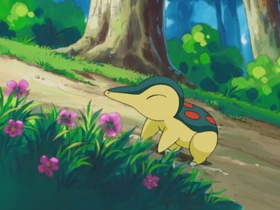 EH14_Cyndaquil_de_Ash