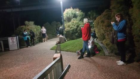 13715981_10153558770227105_1187209936144142773_n