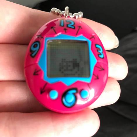 23798811_10154781489022105_784267212_o