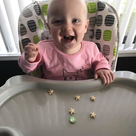 32980295_10155179724497105_6135013912187240448_n