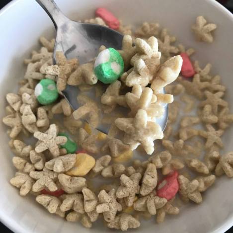 32981083_10155179724732105_6359183240506376192_n