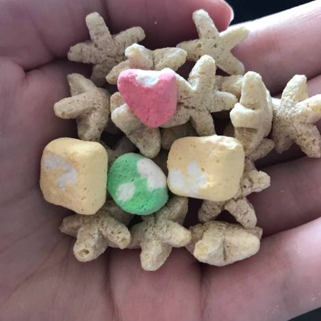 33045756_10155179724447105_4312159848222425088_n