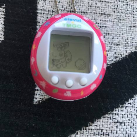 51434278_376357819581380_1684939825116872704_n