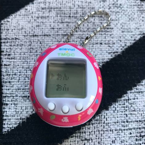 52612834_601004203705645_8145171121973493760_n